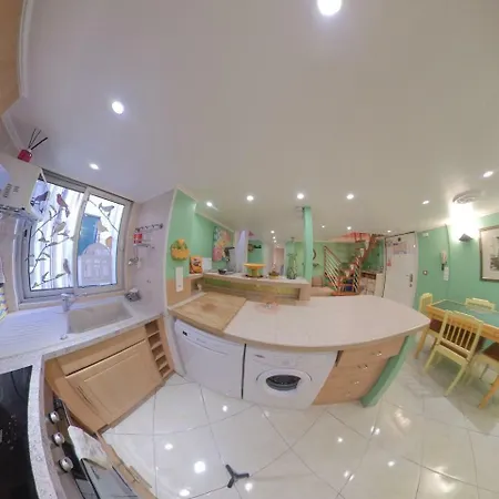 Duplex Port 公寓 尼斯